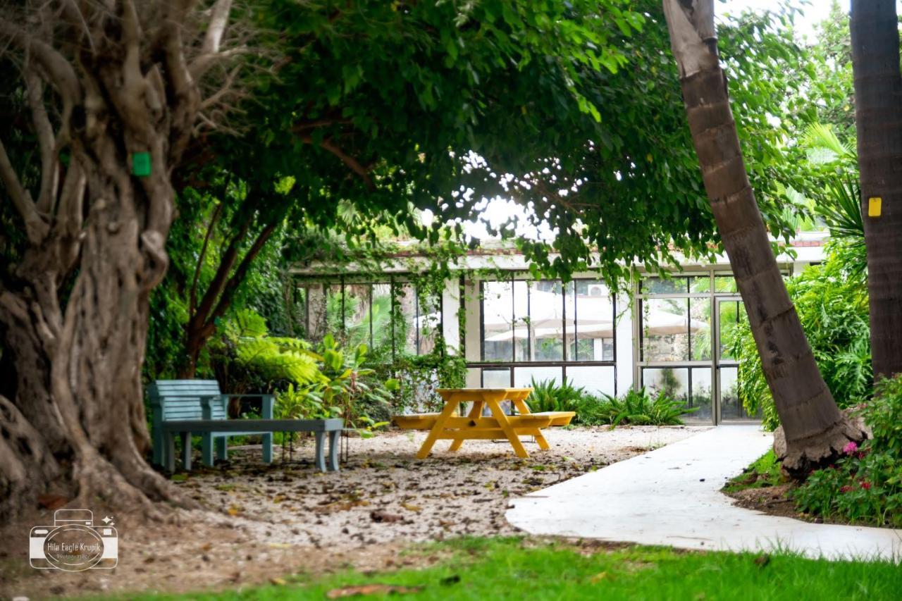 Eden Inn Zikhron Ya'akov Exteriör bild